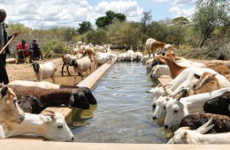 케냐 통합적 가뭄 대응 역량 강화 사업