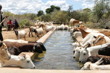 케냐 통합적 가뭄 대응 역량 강화 사업